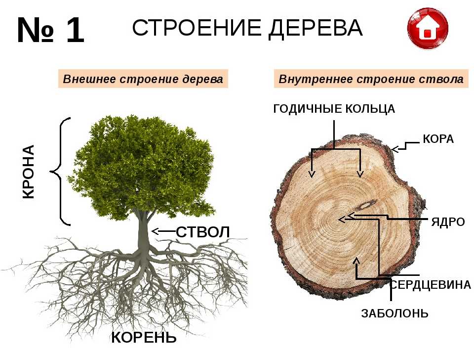 Технология. 5 класс. авторский коллектив: е. с. глозман, е. н. кулакова, ю. л. хотунцев, о. а. кожина, и. в. воронин, в. в. воронина, а. е. глозман