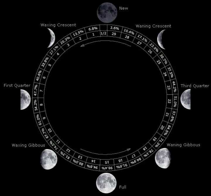 Какой сегодня лунный день (сутки) - лунный календарь на сегодня