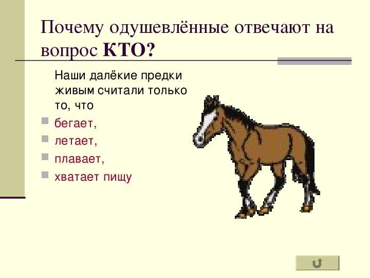 Составить загадку о имени существительном