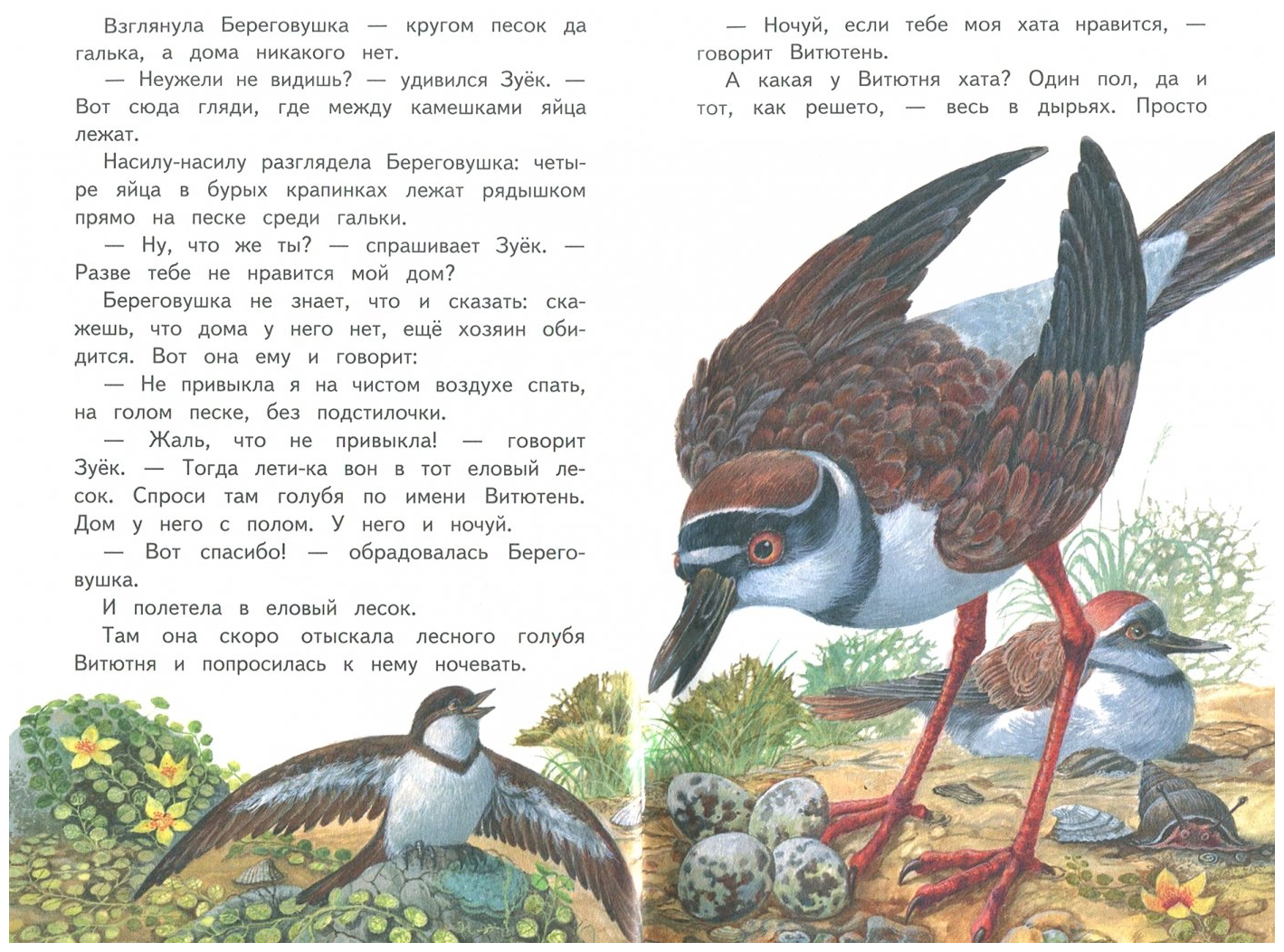 Лесные домишки - сказки бианки: читать с картинками, иллюстрациями - сказка dy9.ru