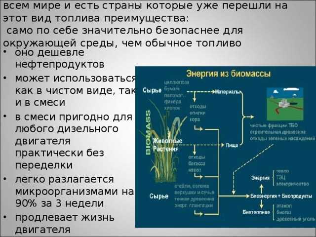 Биомасса
