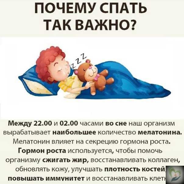 Кто такой антон пафнутьевич спицын. главные герои романа «дубровский