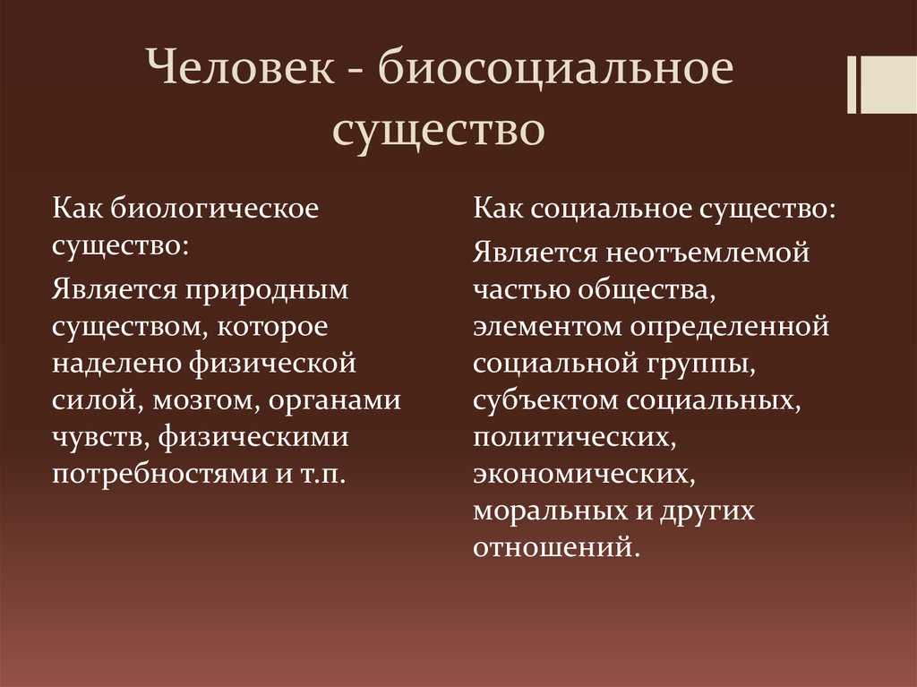 Разве человек действительно социальное существо? научное исследование