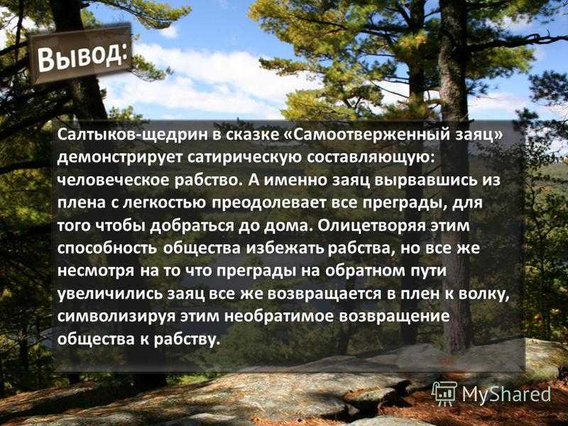 Сочинение анализ сказки самоотверженный заяц салтыкова-щедрина (идея, тема, смысл) - лучшие сочинения