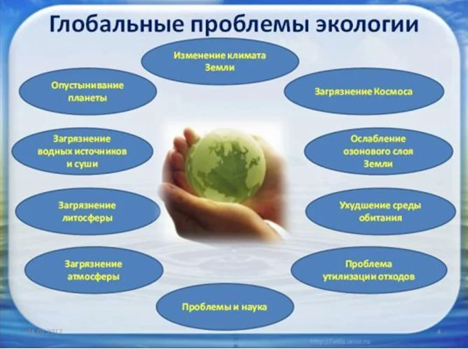Вырубка лесов