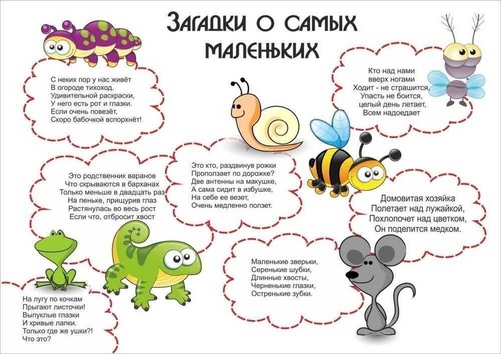 Загадки про овощи для детей: 200 лучших загадок с ответами - blog-dm.ru