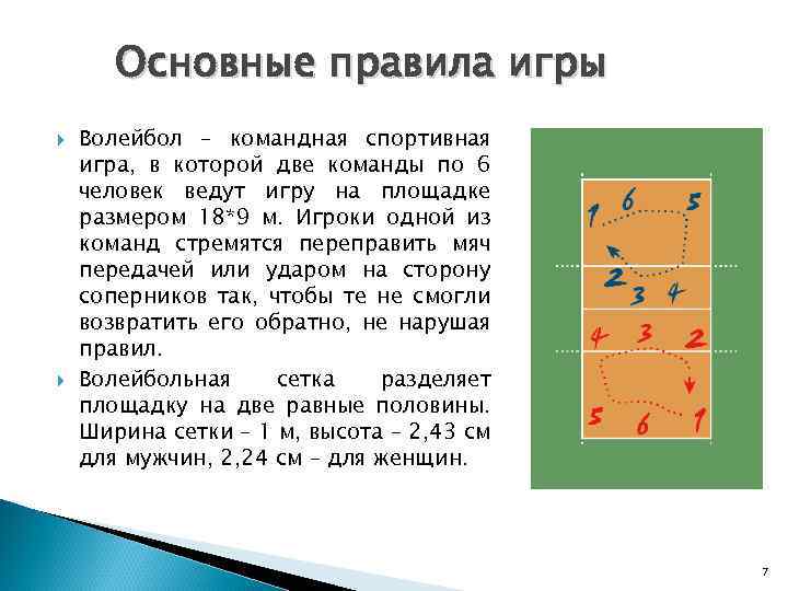Правила игры в волейболе — доступно и просто