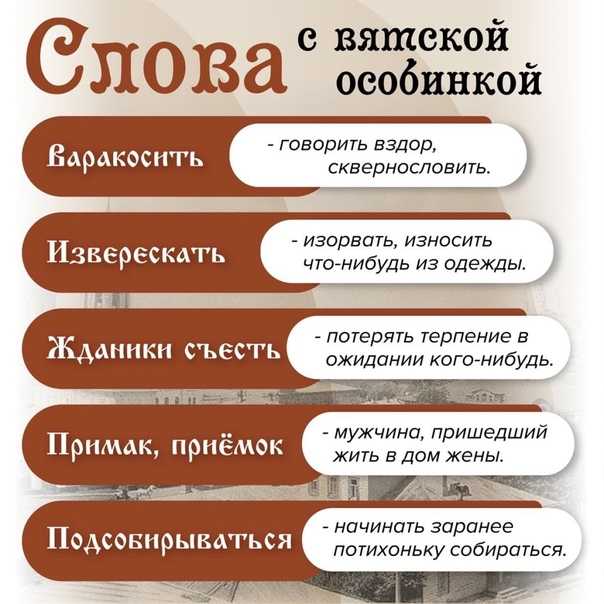 Диалектизмы – что это такое в русском языке, виды и примеры использования (6 класс)
