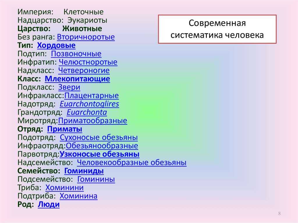 Прокариоты и эукариоты