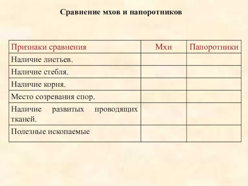 Способы размножения мхов и папоротников: что нужно знать