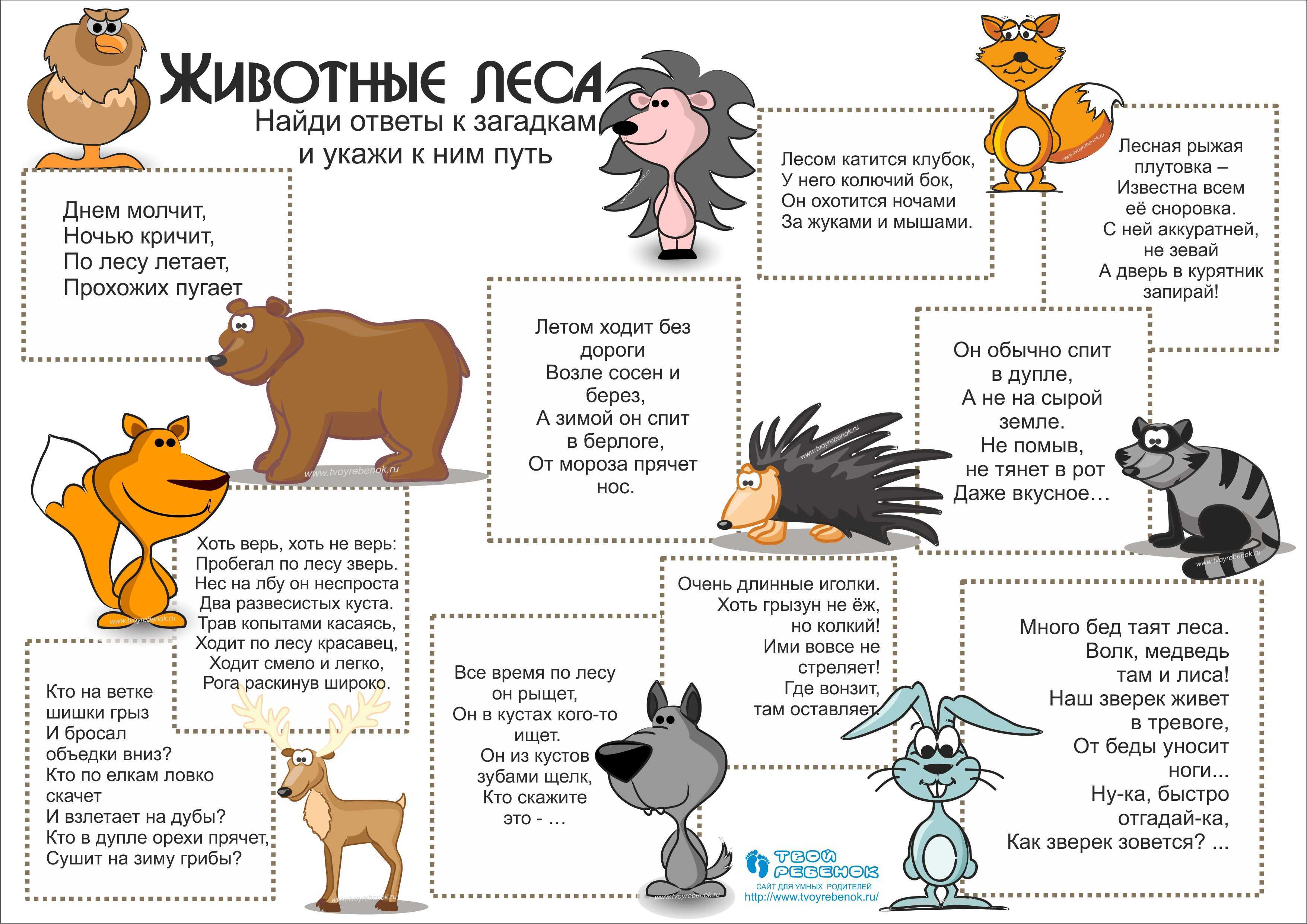 Загадки про животных для детей с ответами