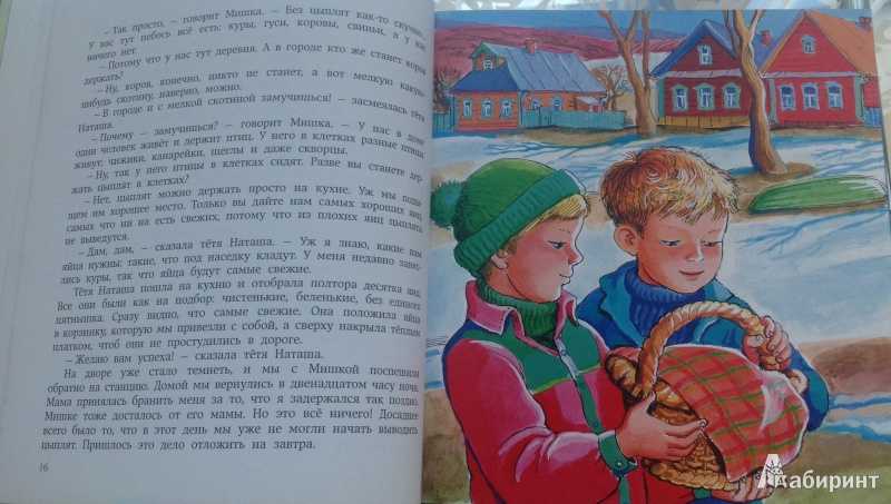 Читательский дневник по повести николая носова «весёлая семейка»
