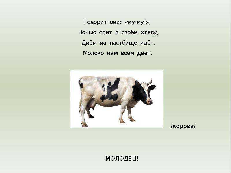 Загадки о домашних животных для детей