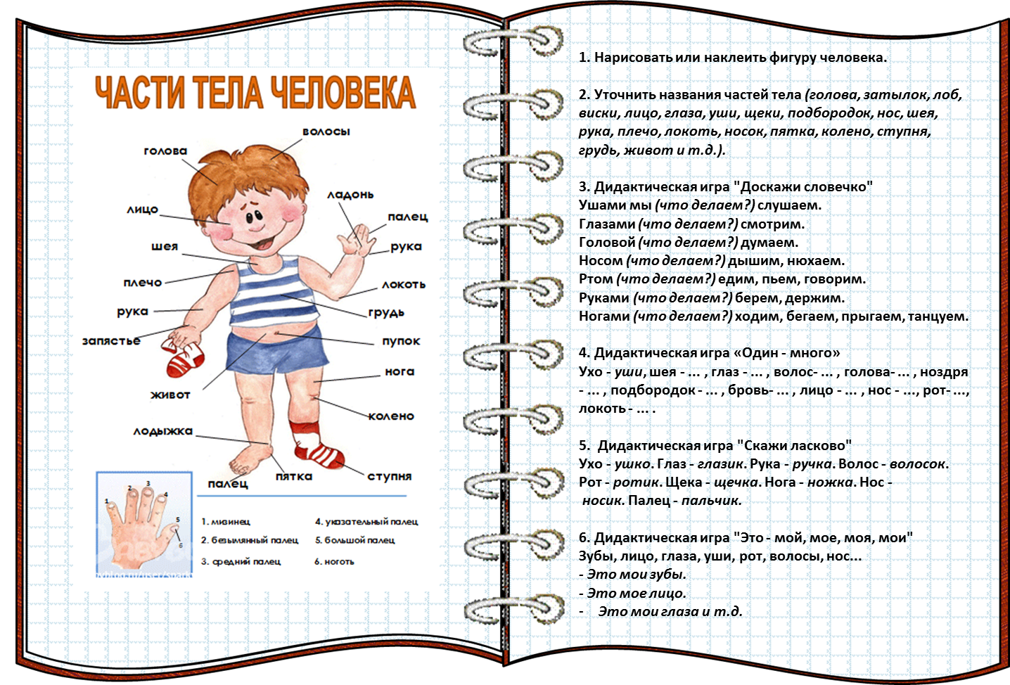 Загадки про части тела для детей с ответами