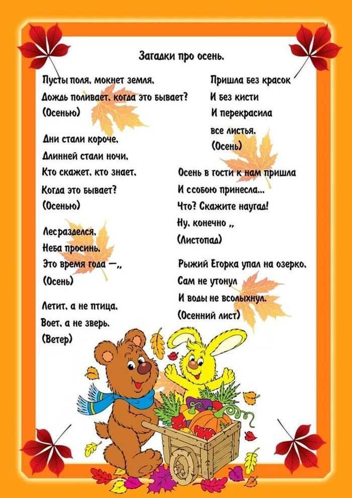 Загадки о лесе