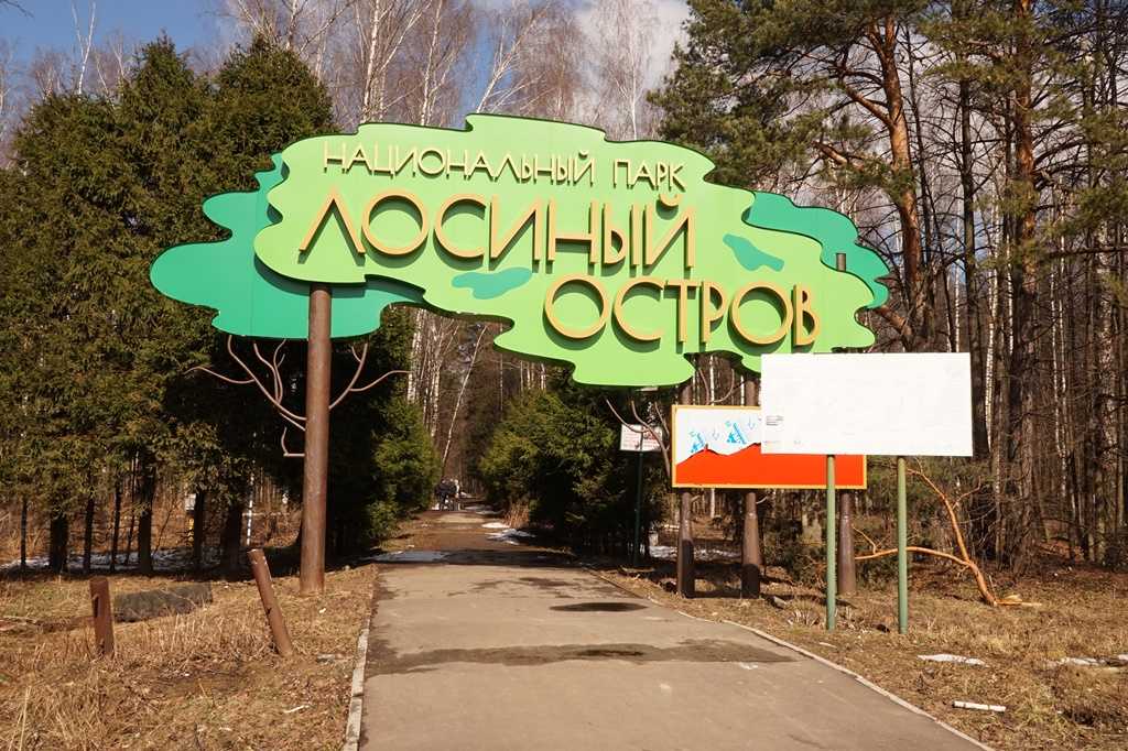 Презентация на тему заповедник «лосиный остров»