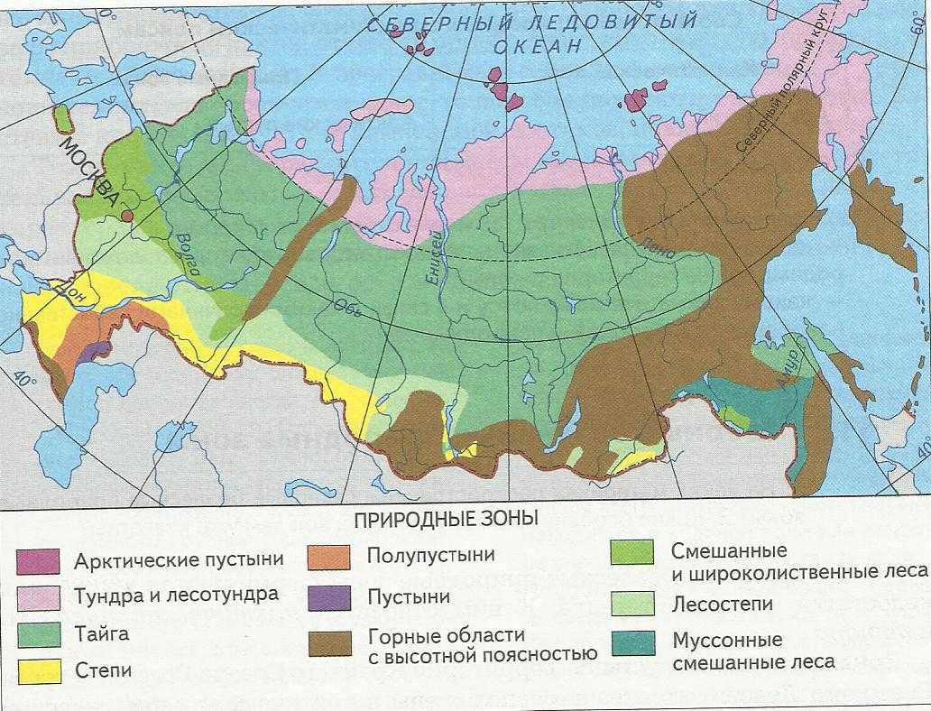 Широколиственный лес: внешний вид, фото, особенности, интересные факты, среда обитания