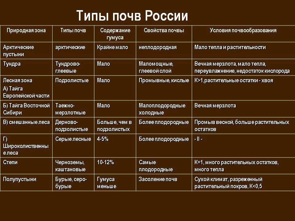 Особенности природных зон субтропического пояса