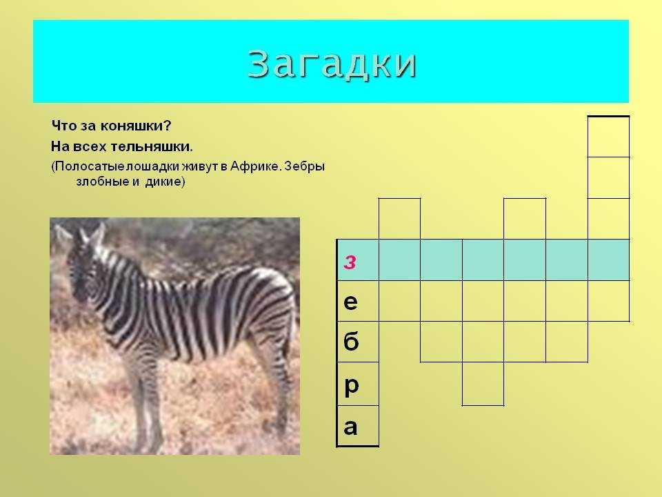 Загадки для детей 3 - 4 лет: короткие задания с ответами