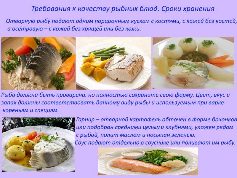 Первичная обработка и способы разделки рыбы