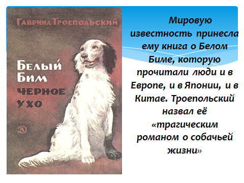 «белый бим чёрное ухо»: краткое содержание повести г. троепольского. троепольский гавриил «белый бим черное ухо»