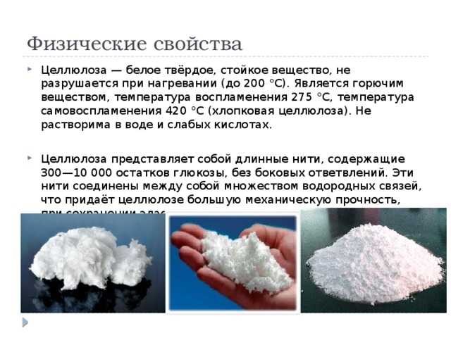 Клеточное строение в биологии 5 класс: краткое описание и основные понятия