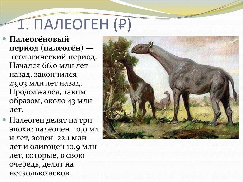 Что такое кайнозойская эра и развитие жизни на земле в кайнозойскую эру