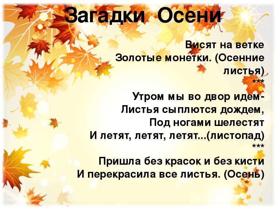 Маленькие загадки про лес.  загадки про лес