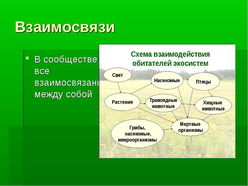 Значение озер в жизни людей: экология, рекреация, водоснабжение