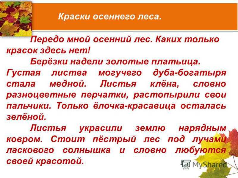 Сочинение «осенний лес» 3-4-5 класс