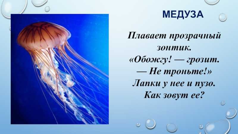 Загадки про подводный мир с ответами для детей 7-9 лет