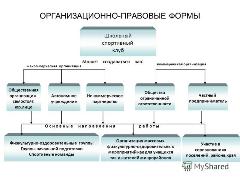 Организационно-правовая форма учреждения школы: что это и как выбрать правильно